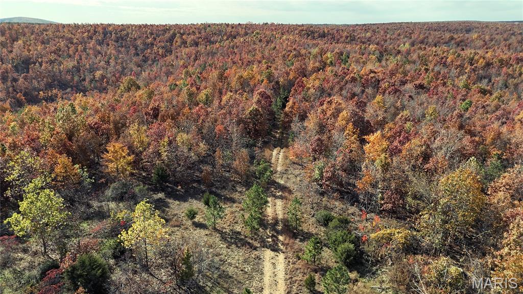 0 Highway 49 Tract 9 Property Photo 19
