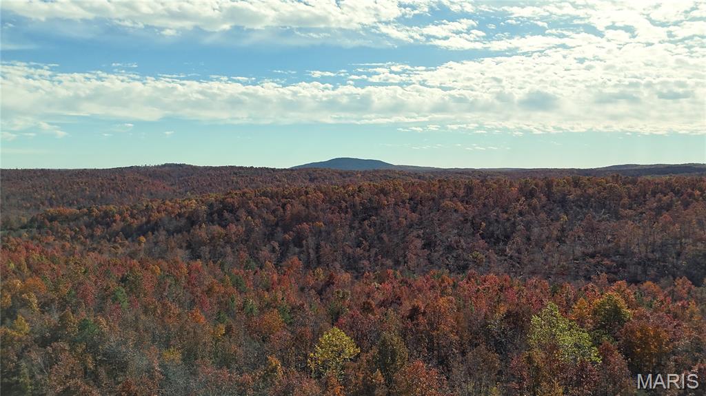 0 Highway 49 Tract 9 Property Photo 21