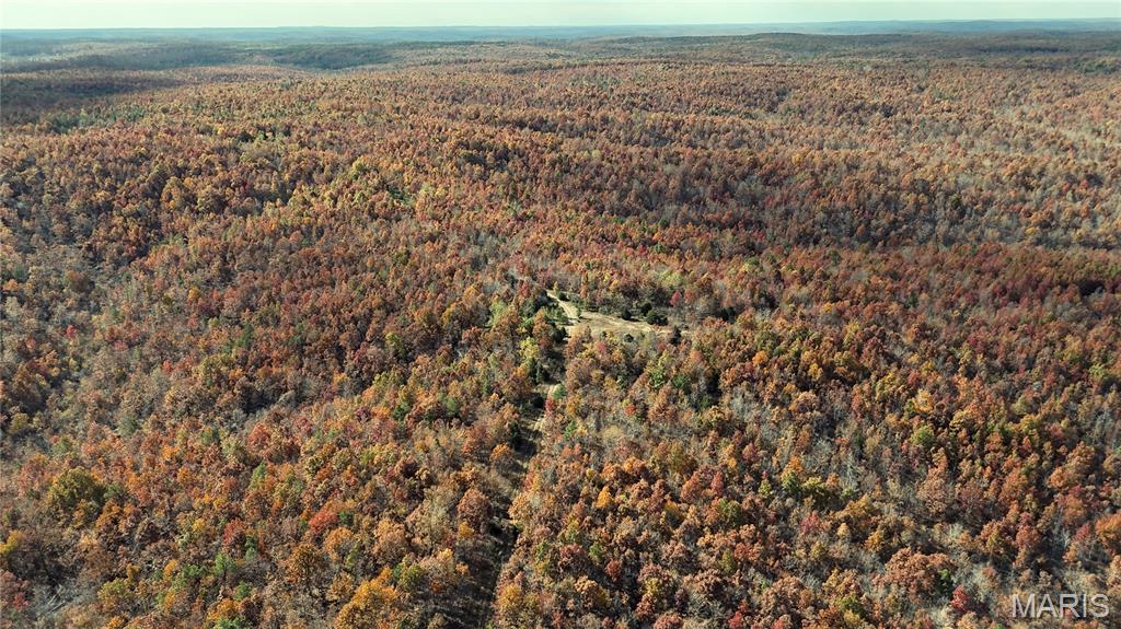 0 Highway 49 Tract 9 Property Photo 23