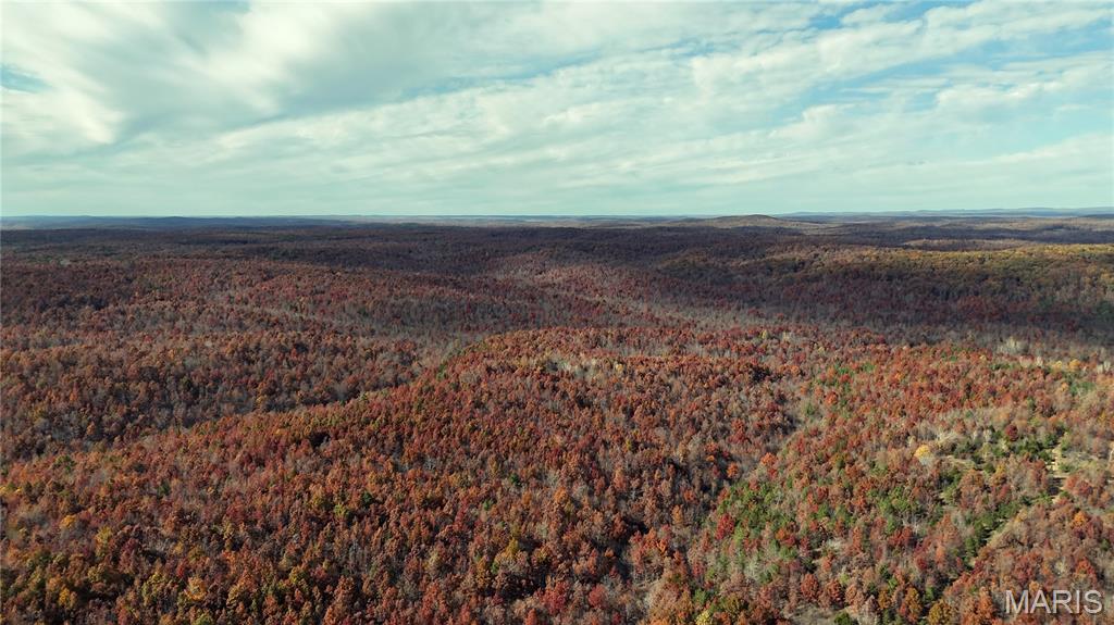 0 Highway 49 Tract 9 Property Photo 24