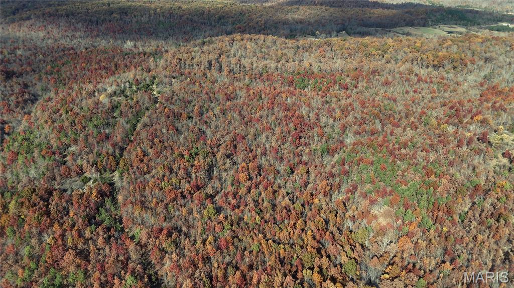 0 Highway 49 Tract 9 Property Photo 25