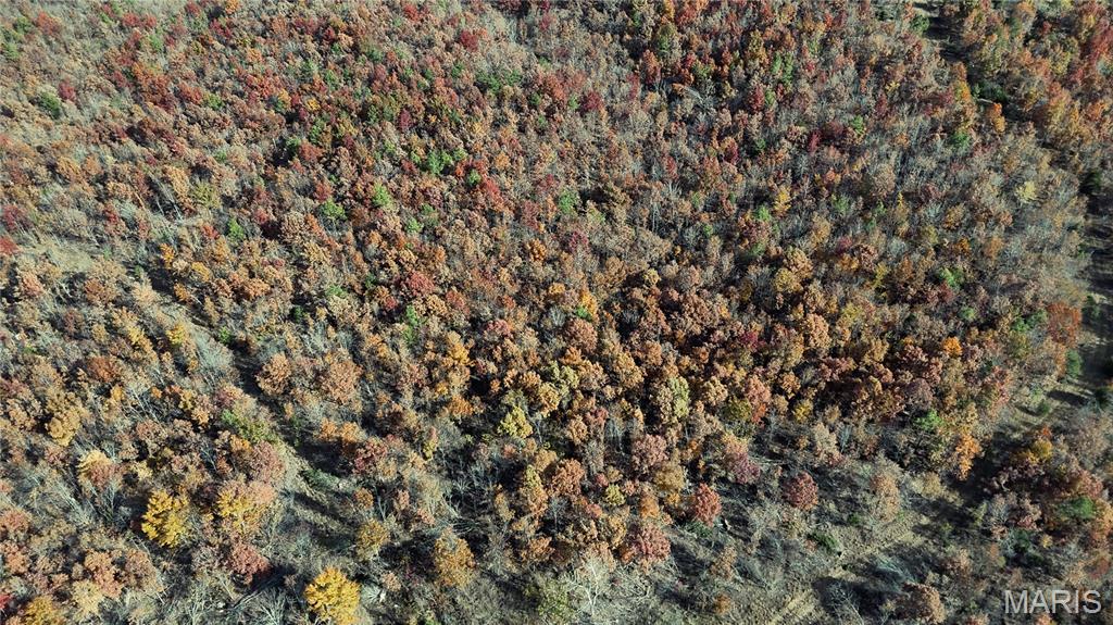 0 Highway 49 Tract 9 Property Photo 26