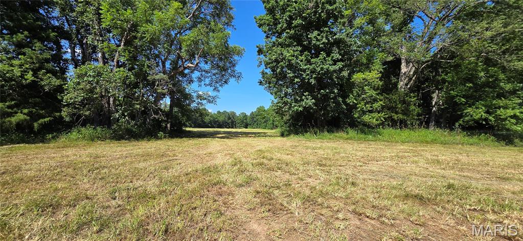 26041207 Property Photo 6