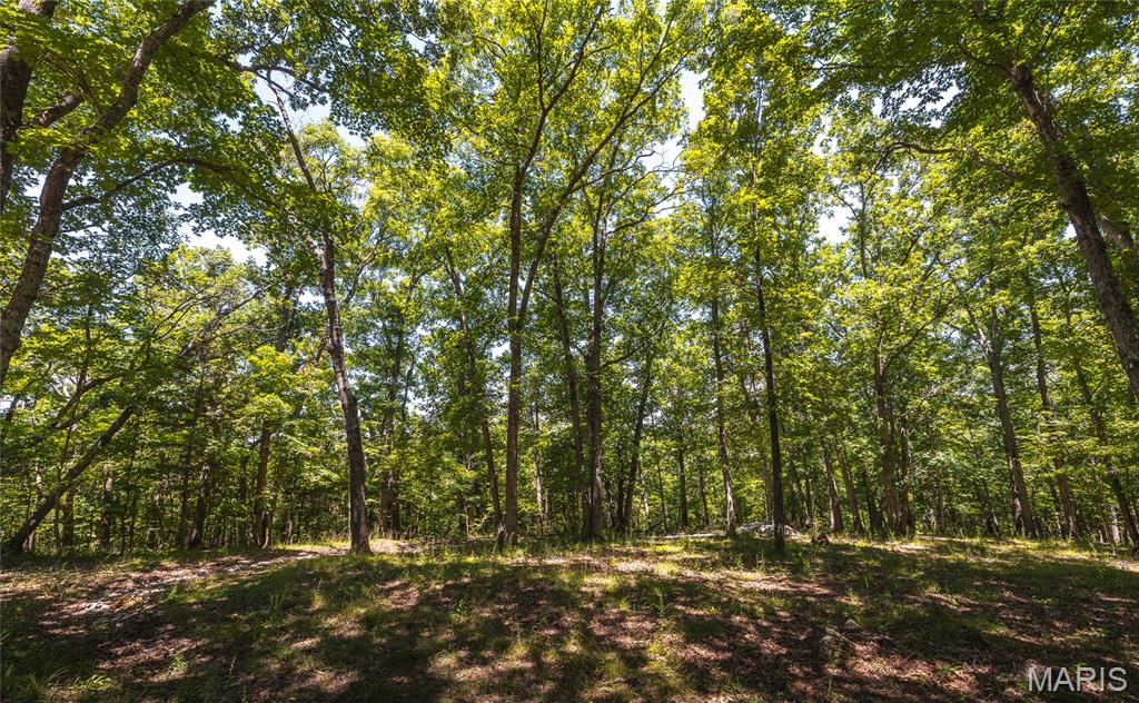 7287 Highway 47 Property Photo 34
