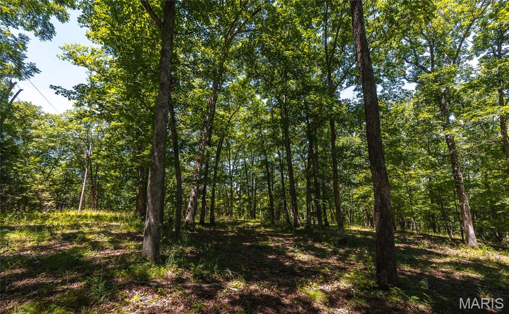 7287 Highway 47 Property Photo 35