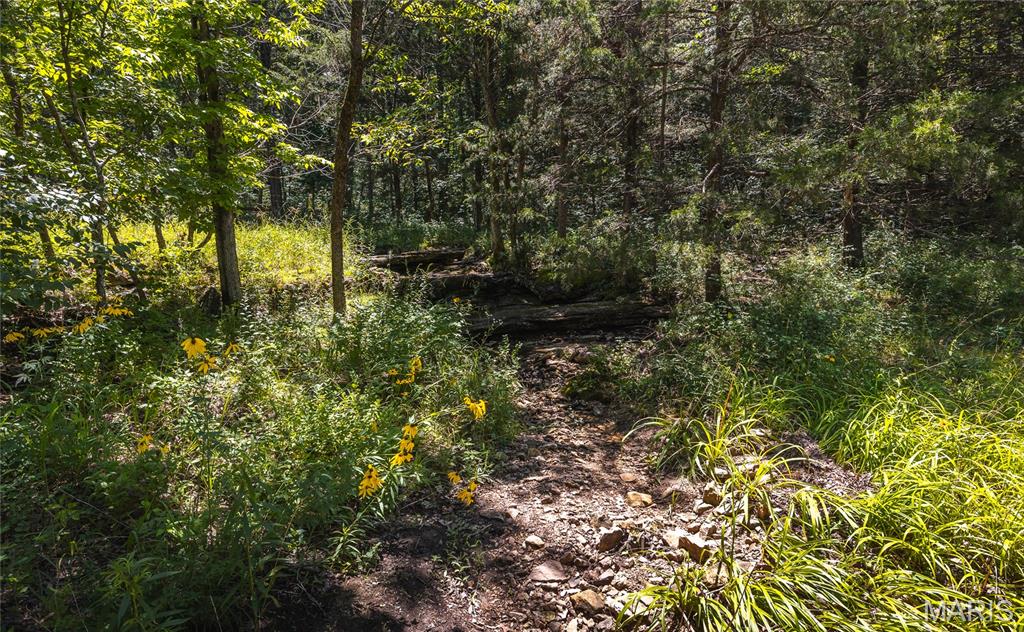 7287 Highway 47 Property Photo 36