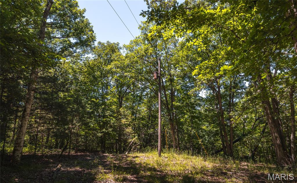 7287 Highway 47 Property Photo 39