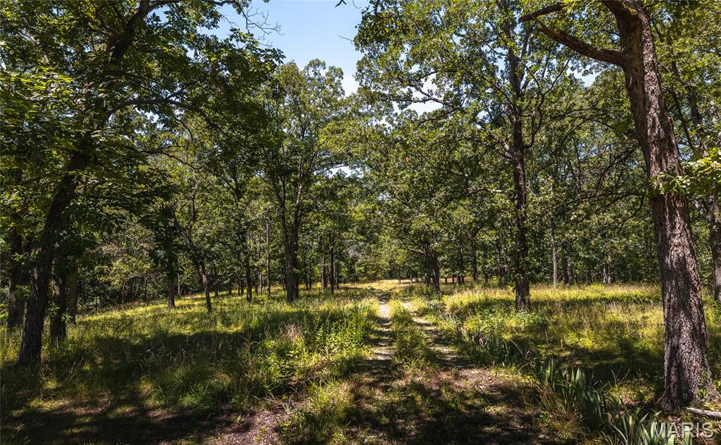 7287 Highway 47 Property Photo 50