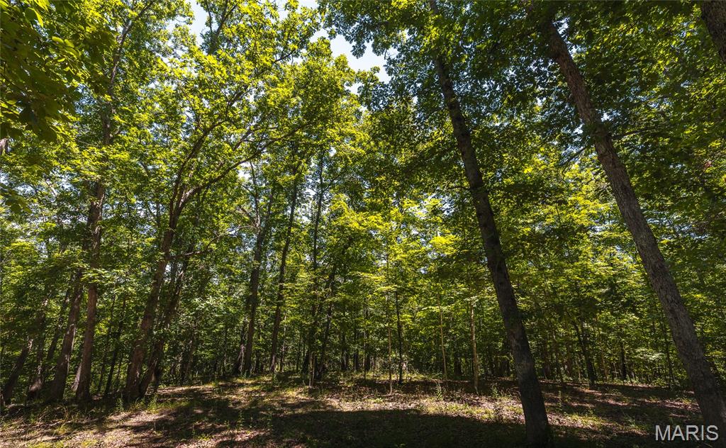7287 Highway 47 Property Photo 51