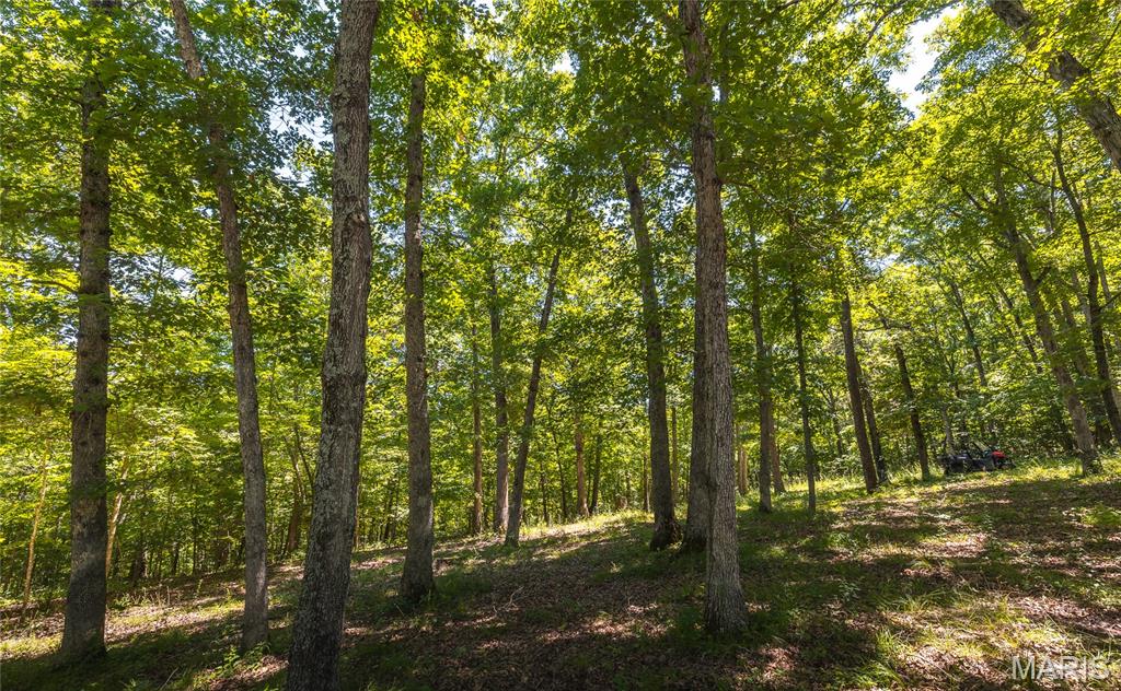 7287 Highway 47 Property Photo 52