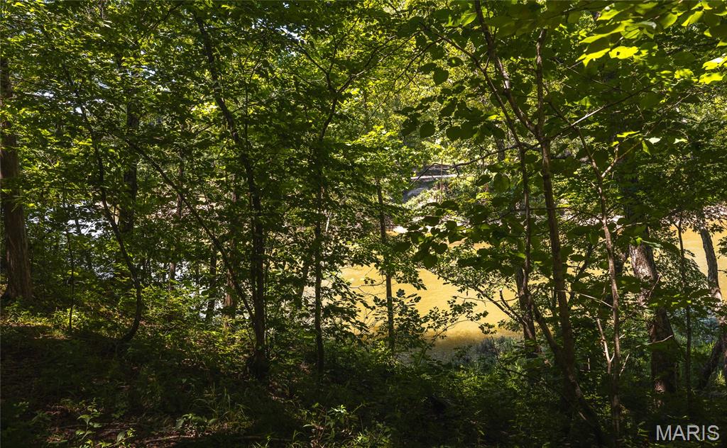 7287 Highway 47 Property Photo 53