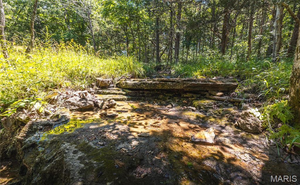 7287 Highway 47 Property Photo 55