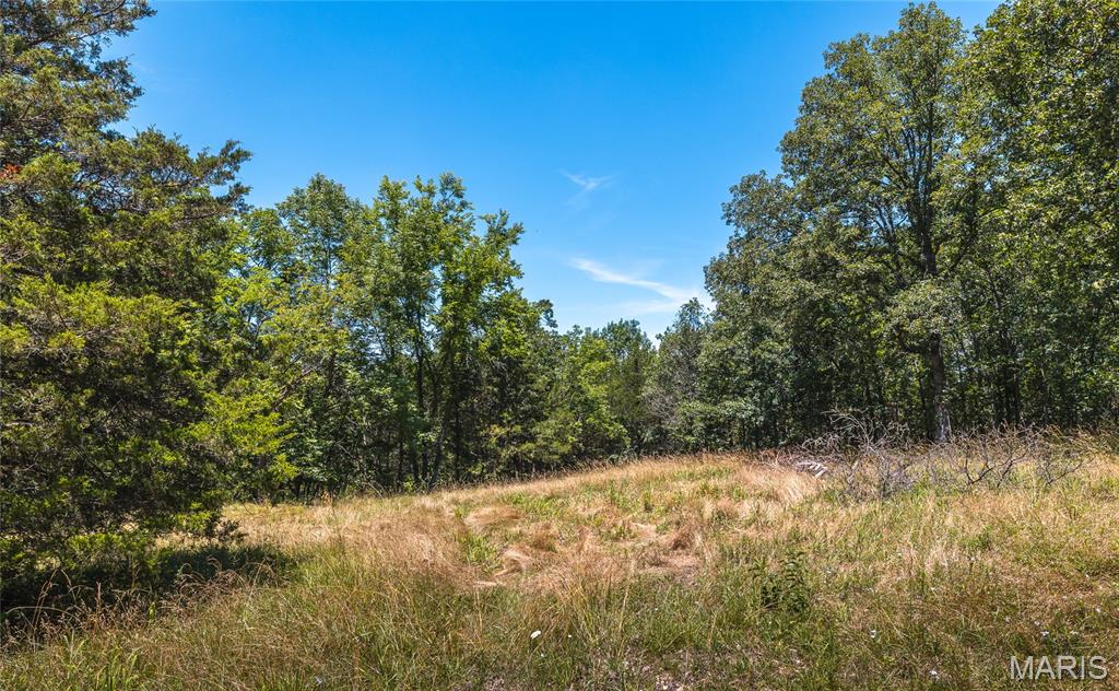 7287 Highway 47 Property Photo 57
