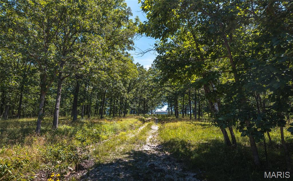 7287 Highway 47 Property Photo 58
