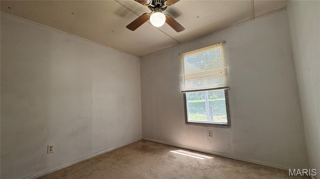 26175 N Carol Street Property Photo 11