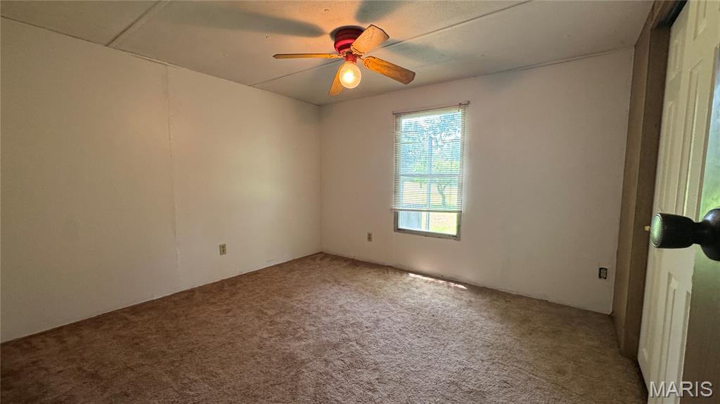 26175 N Carol Street Property Photo 13