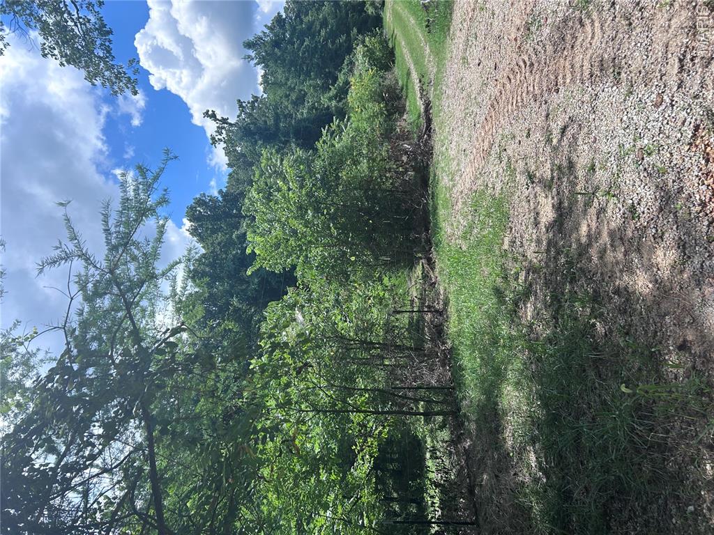 99 Arlie Barr Road Property Photo 2