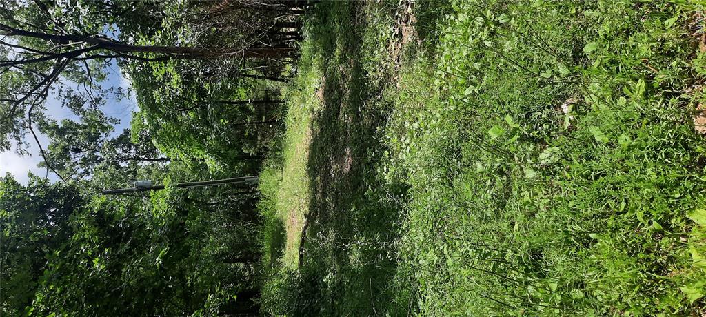 99 Arlie Barr Road Property Photo 11