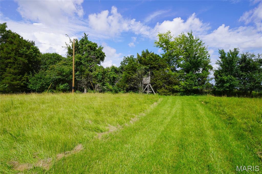 1971 Epple Road Property Photo 42