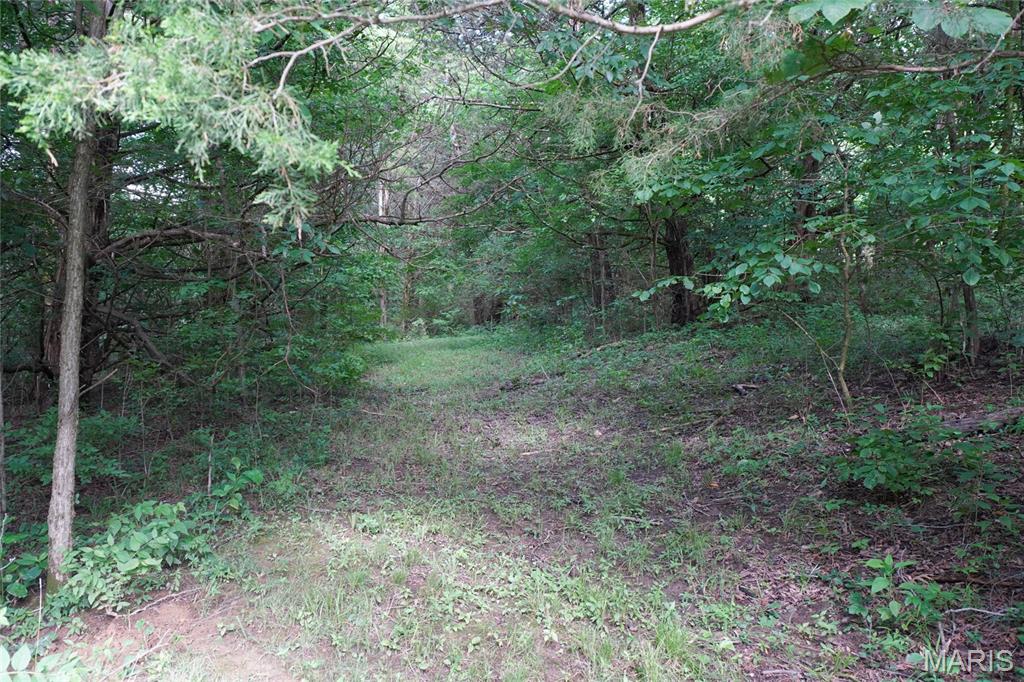 1971 Epple Road Property Photo 65