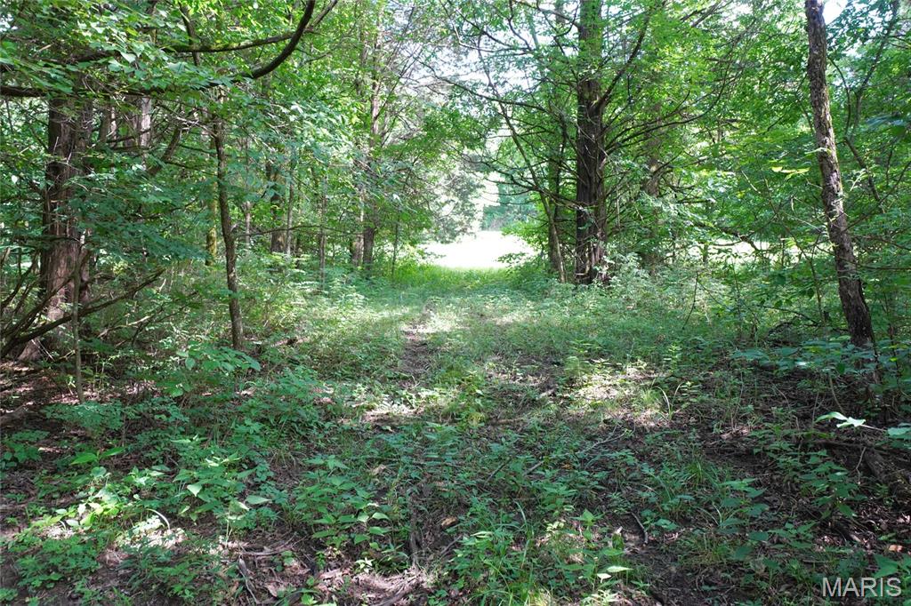 1971 Epple Road Property Photo 66