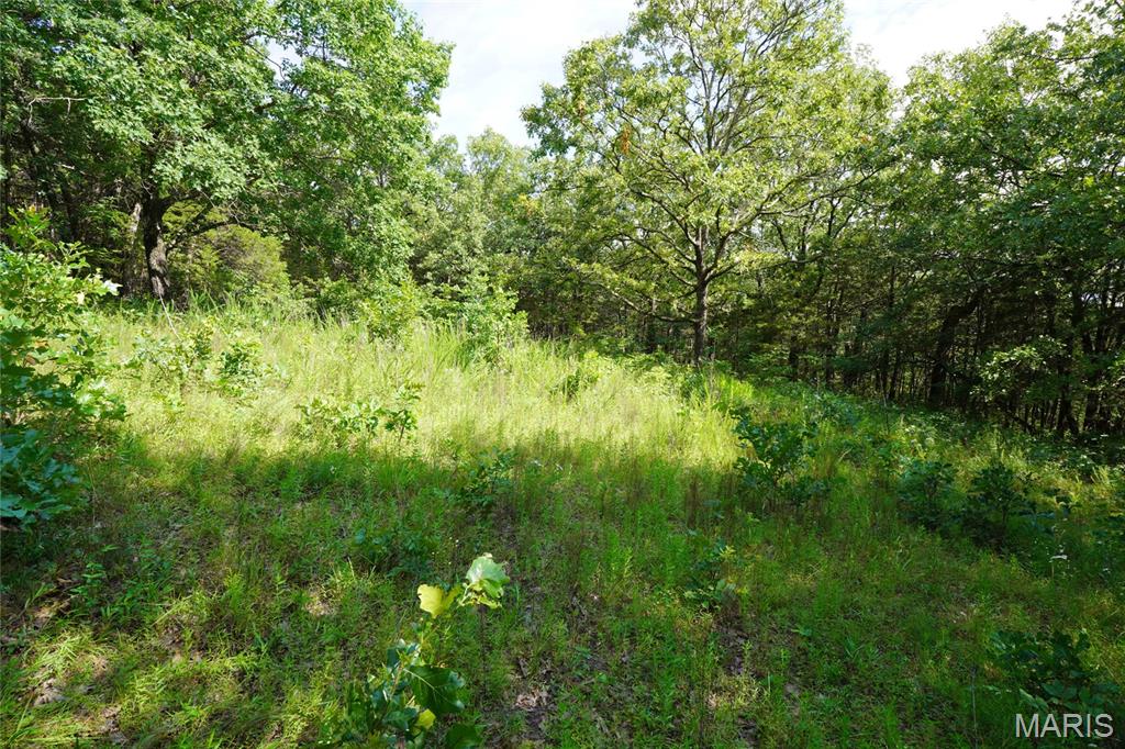 1971 Epple Road Property Photo 73