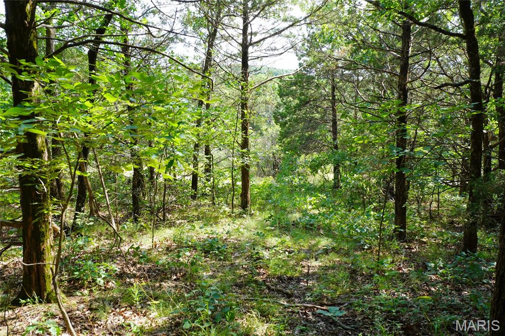 1971 Epple Road Property Photo 74