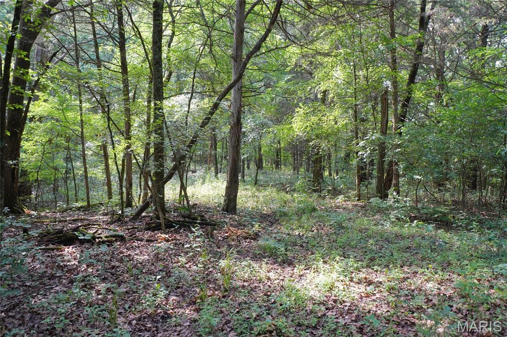 1971 Epple Road Property Photo 87