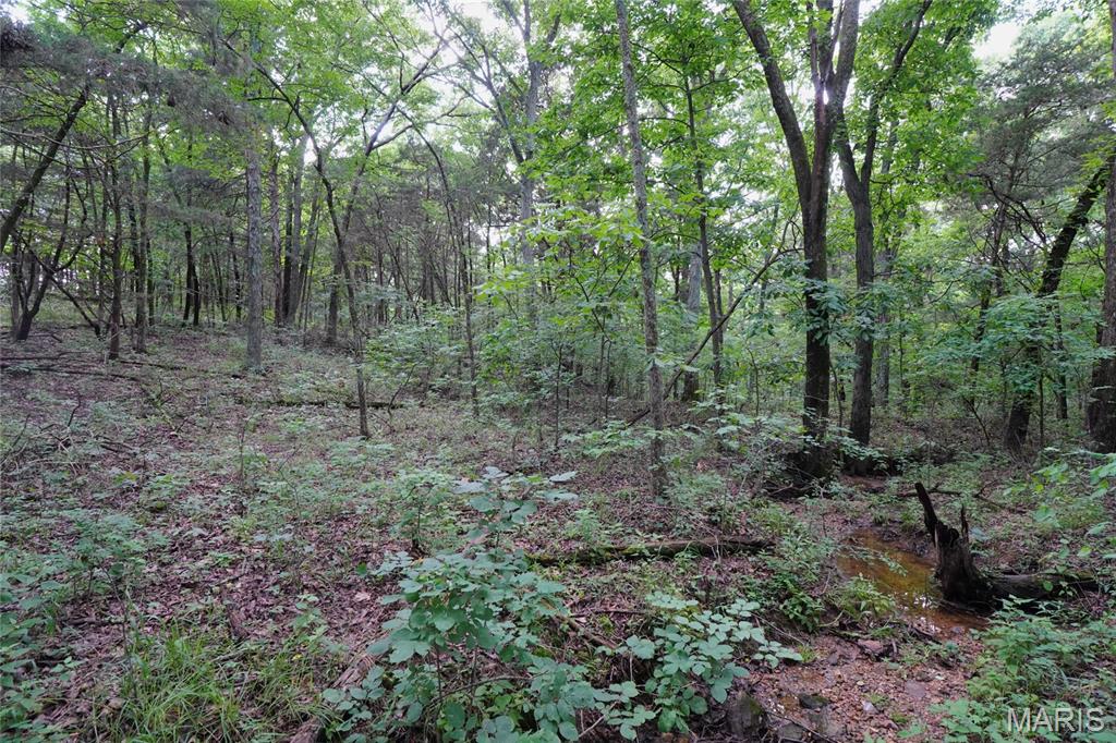 1971 Epple Road Property Photo 95