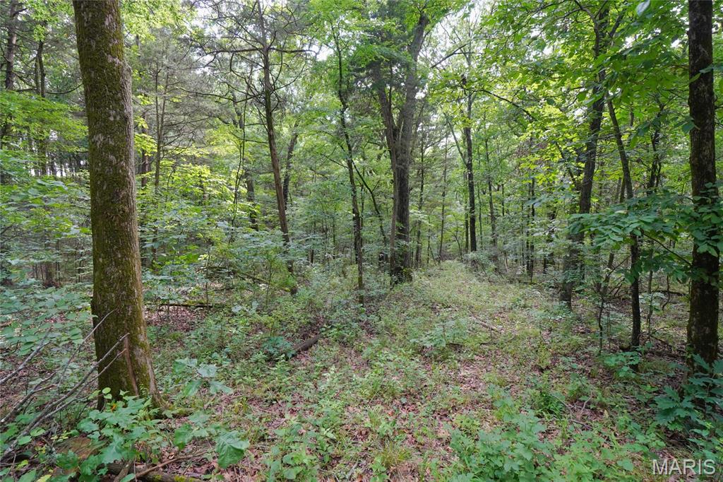 1971 Epple Road Property Photo 96