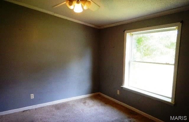94 Pinewood Drive Property Photo 15