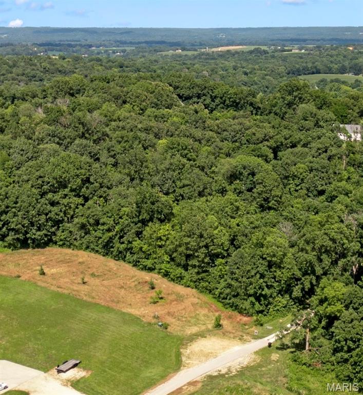 Lot #16 Eastern Star Ct Property Photo 1