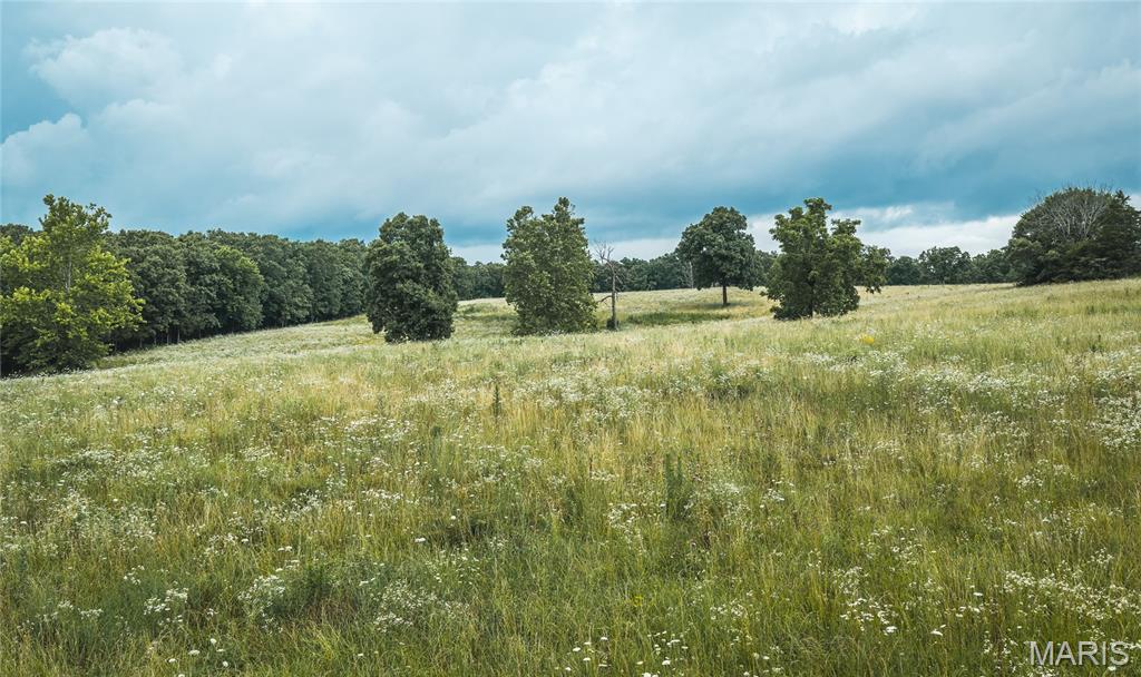000 County Road 628 Property Photo 5