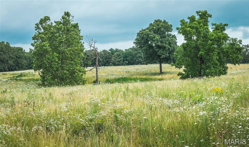 000 County Road 628 Property Photo 11