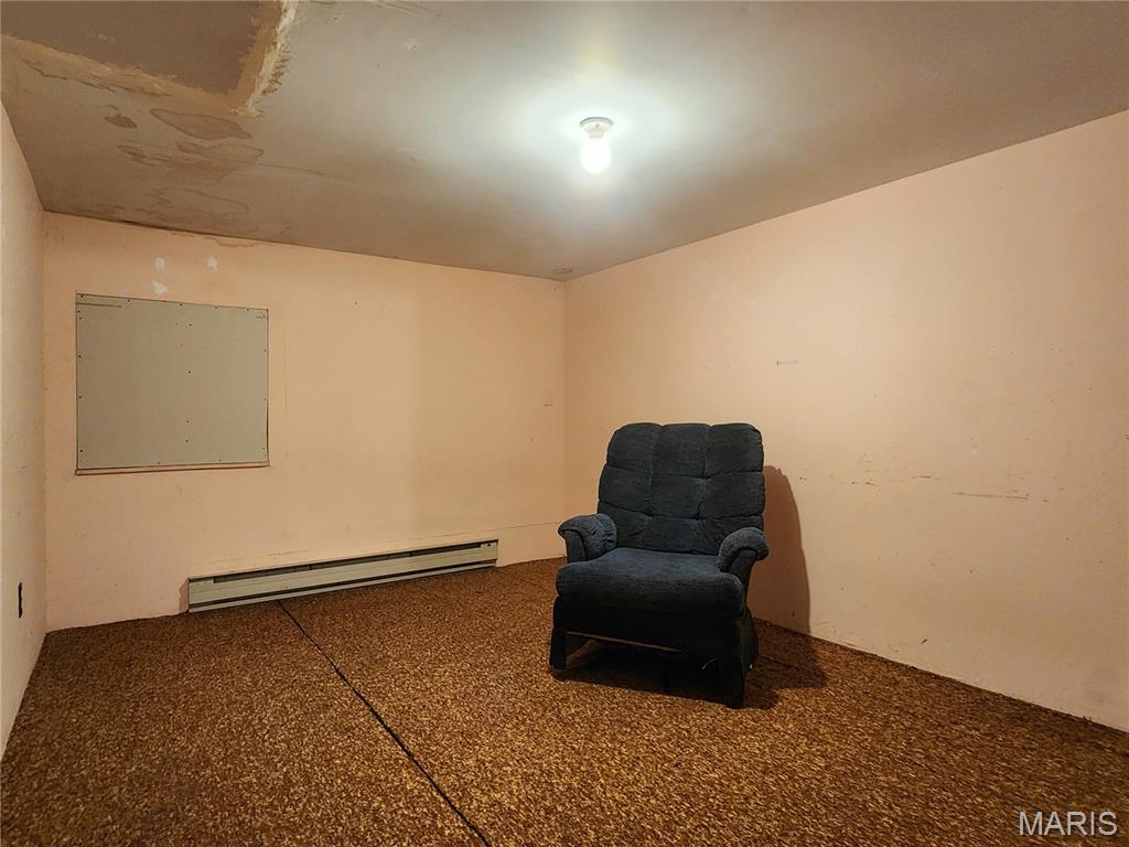 301 S Division Street Property Photo 21