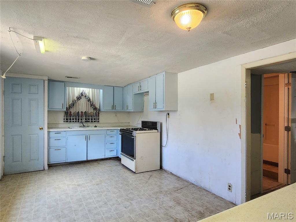 301 S Division Street Property Photo 27