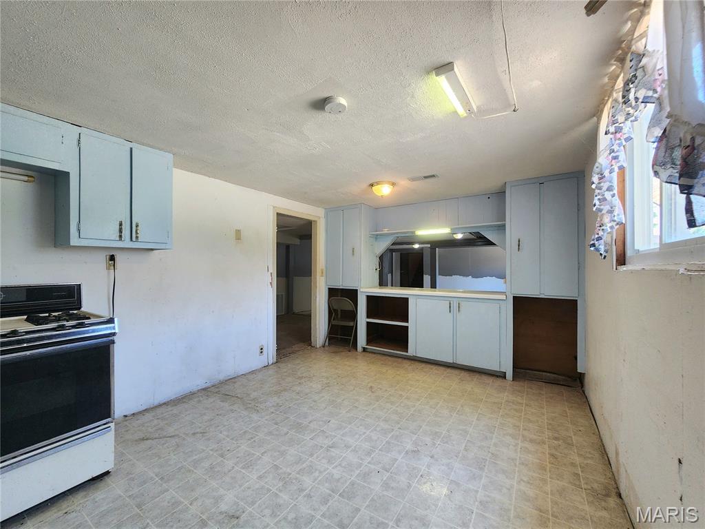 301 S Division Street Property Photo 28