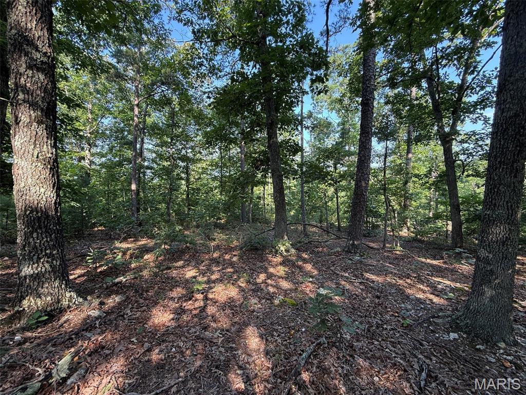 00 Highway Ff Property Photo 18