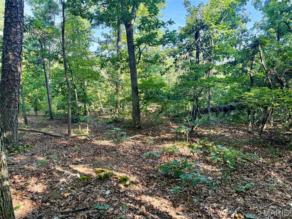 00 Highway Ff Property Photo 21