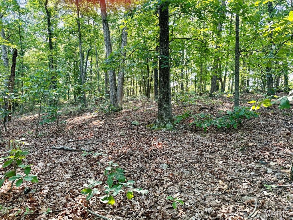00 Highway Ff Property Photo 22