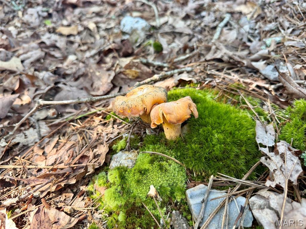 00 Highway Ff Property Photo 24