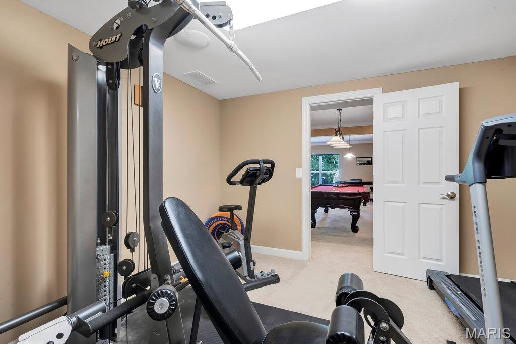 2305 Northeaster Court Property Photo 45
