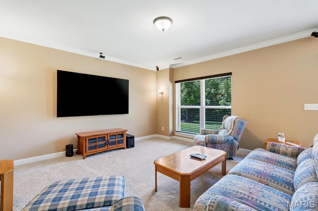 2305 Northeaster Court Property Photo 55