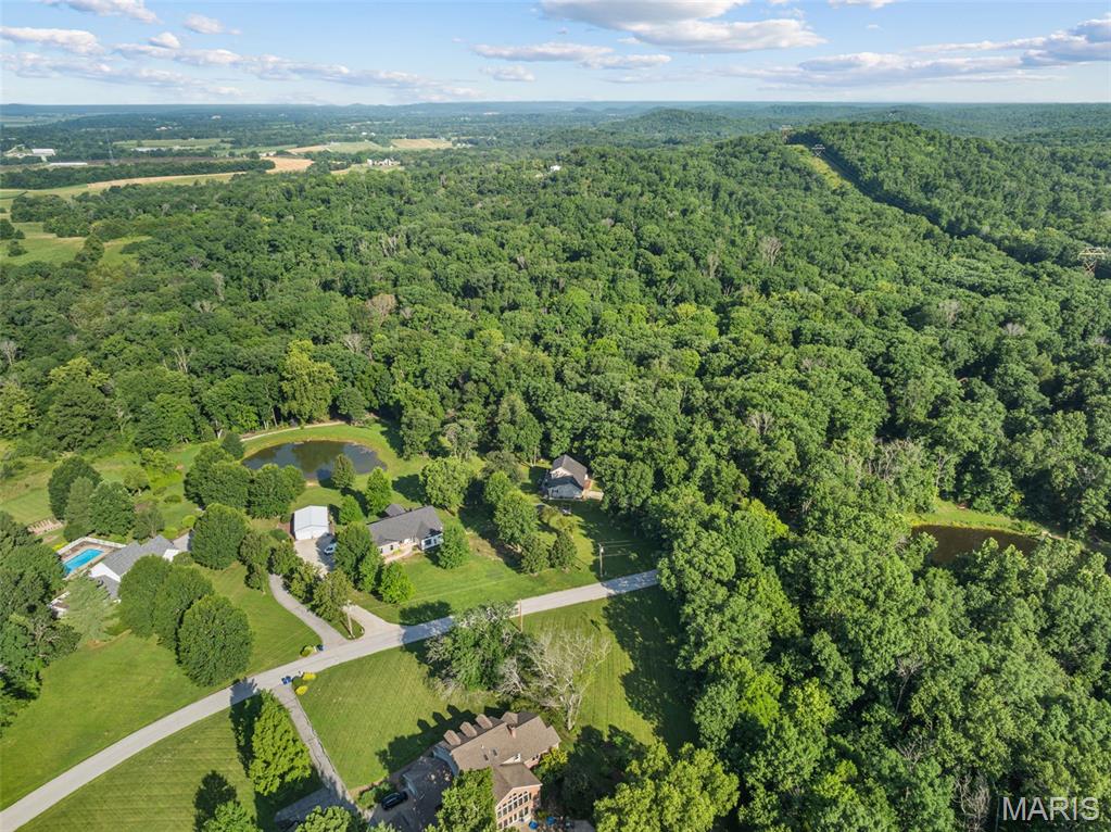 16447 Scenic Ridge Road Property Photo 55