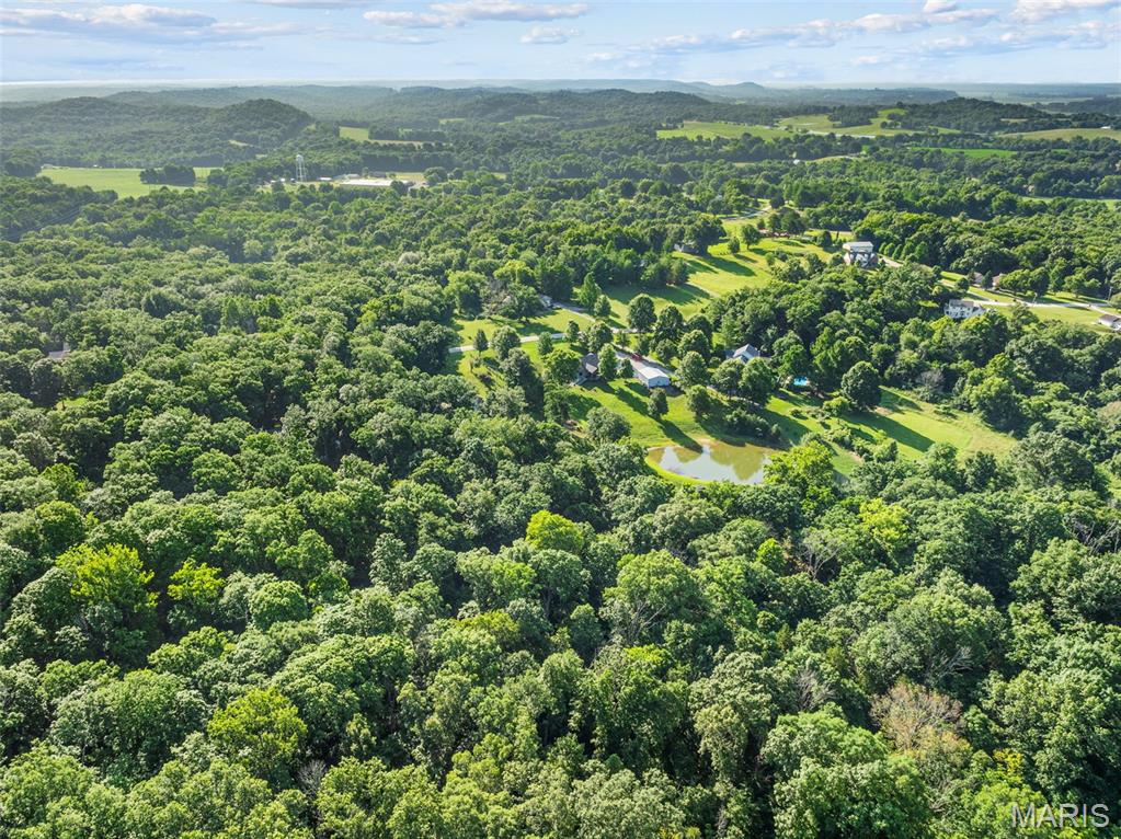 16447 Scenic Ridge Road Property Photo 57