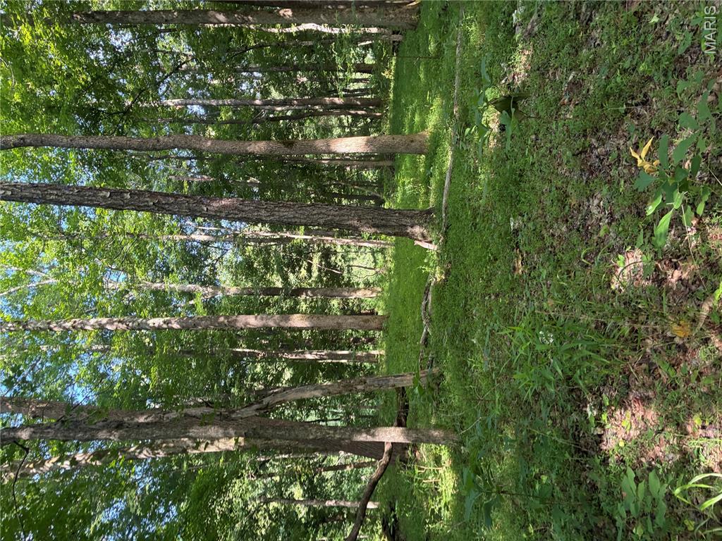 7811 Mo-n 51 Property Photo 4