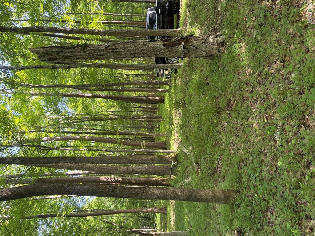 7811 Mo-n 51 Property Photo 5