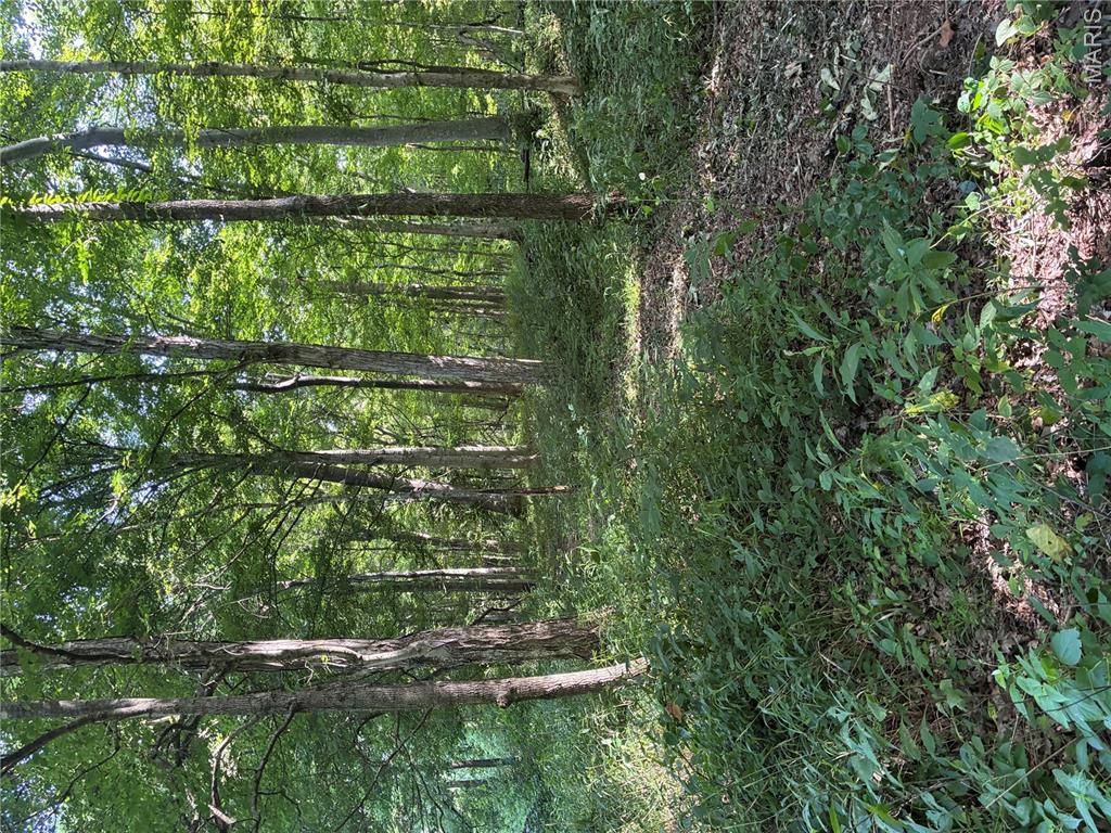 7811 Mo-n 51 Property Photo 9
