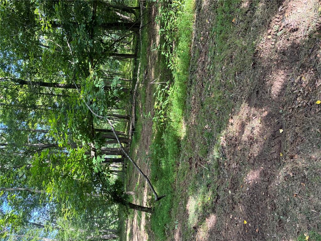 7811 Mo-n 51 Property Photo 11