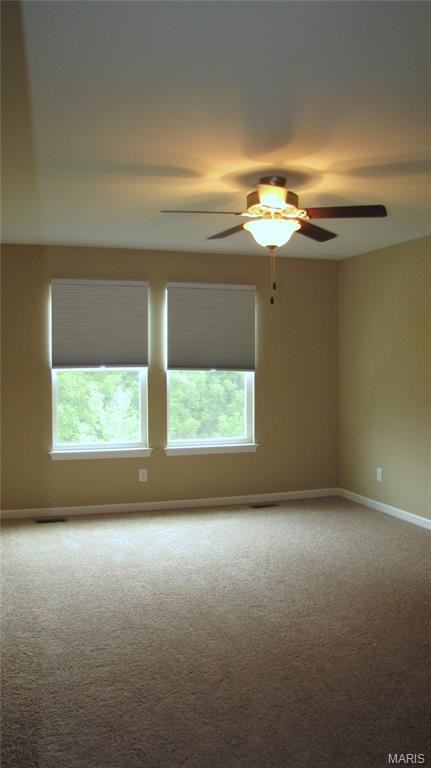 110 Fallon Villa Court Property Photo 8